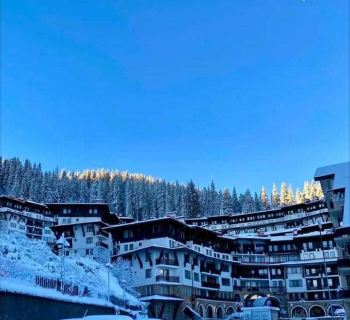 Snow Dreams 1 Grand Monastery Apartment Pamporovo Ngoại thất bức ảnh