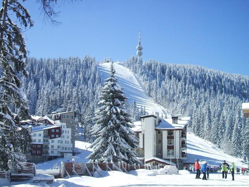 Snow Dreams 1 Grand Monastery Apartment Pamporovo Ngoại thất bức ảnh