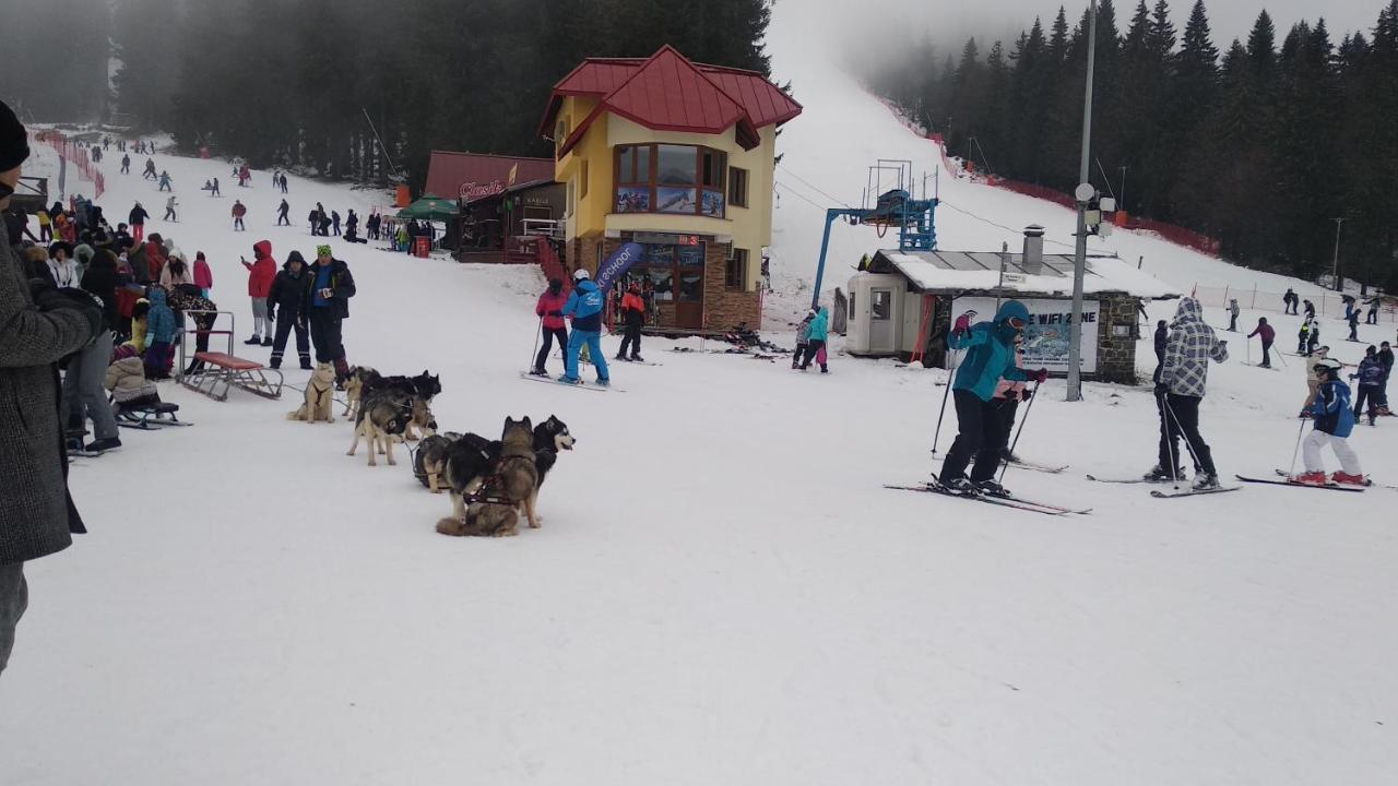 Snow Dreams 1 Grand Monastery Apartment Pamporovo Ngoại thất bức ảnh